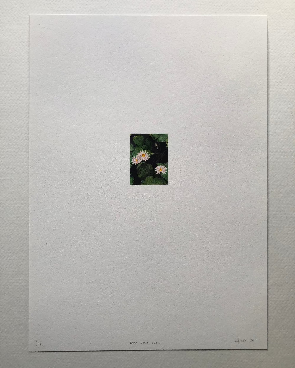 A miniature art print of three water lilies