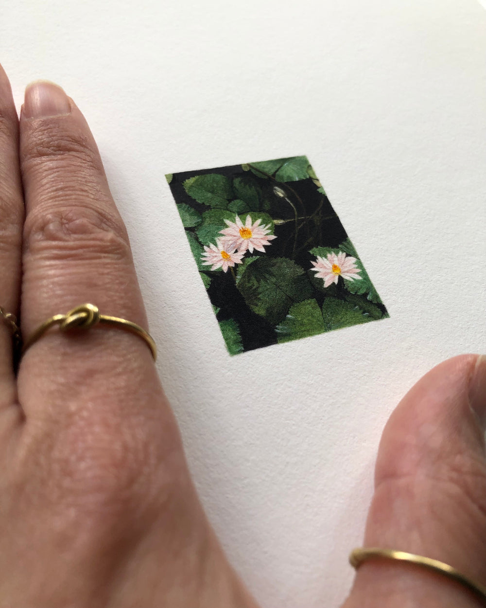 A close-up of a hand resting next to a miniature art print of soft pink water lilies
