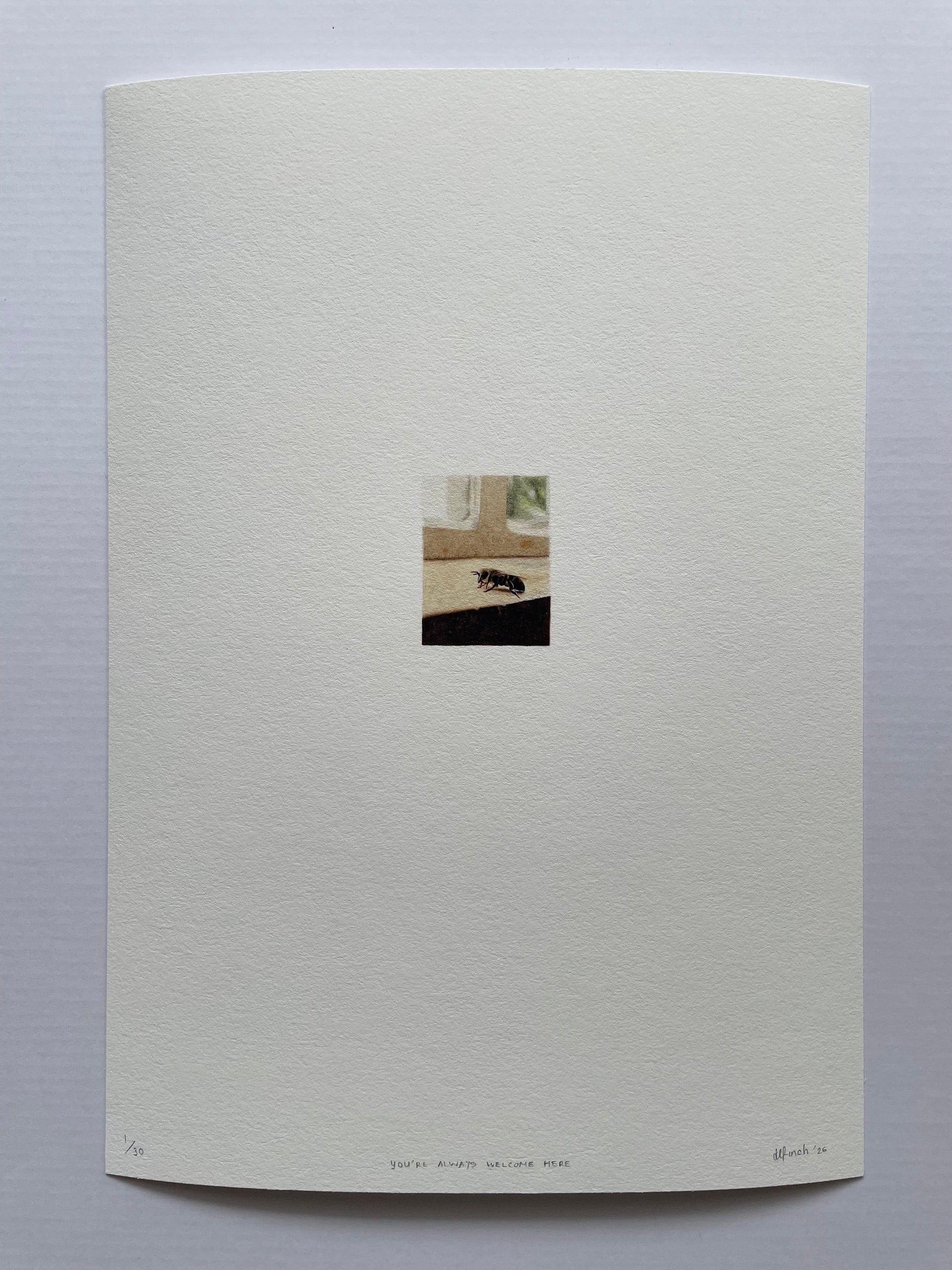 A tiny bee resting indoors on the windowsill painted on paper