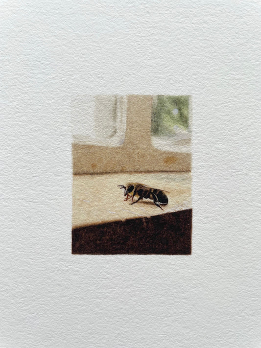 A bee on a windowsill miniature painting