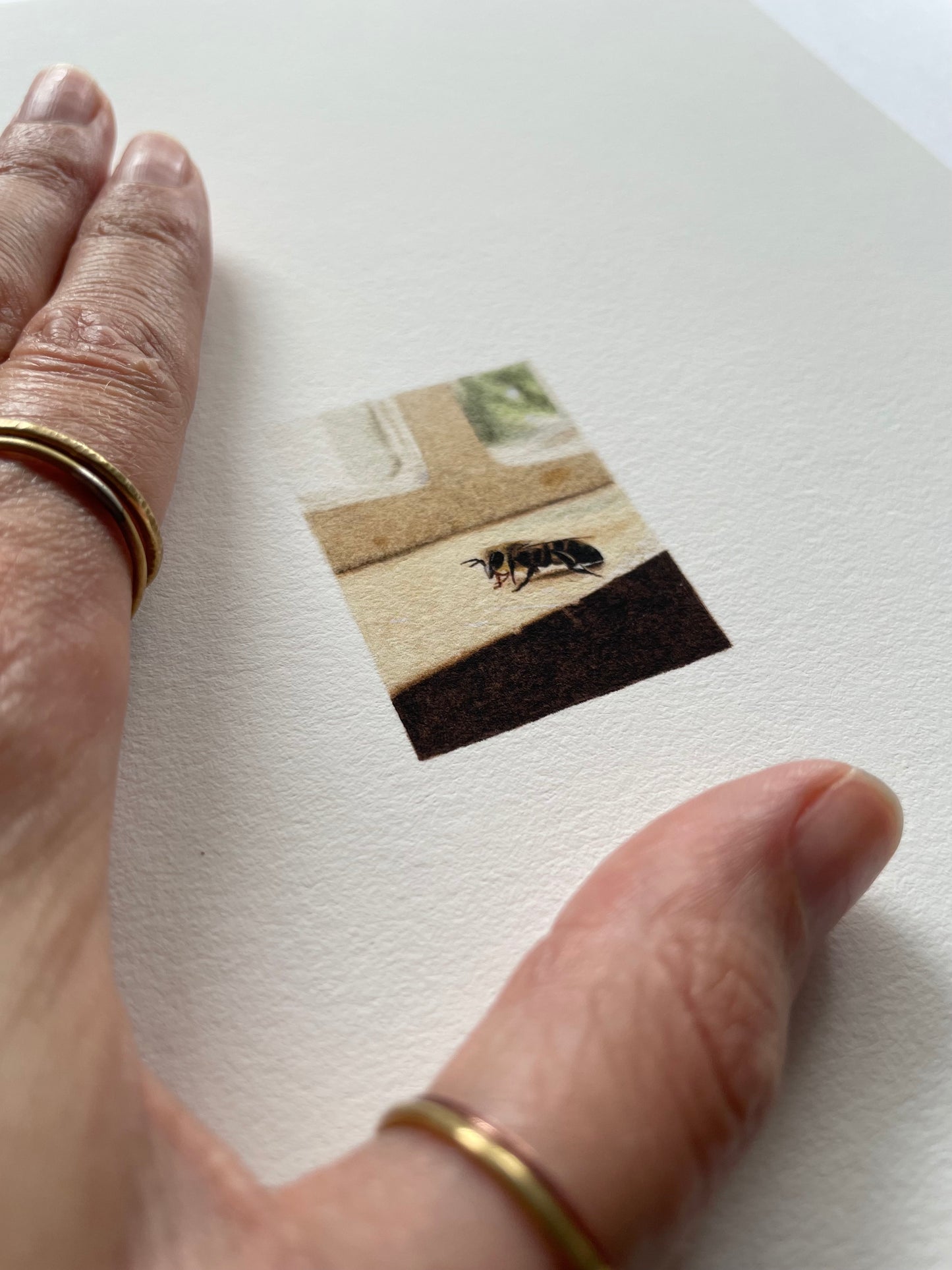 Hand resting on top of light textured papered with a tiny print of a bee resting on the windowsill