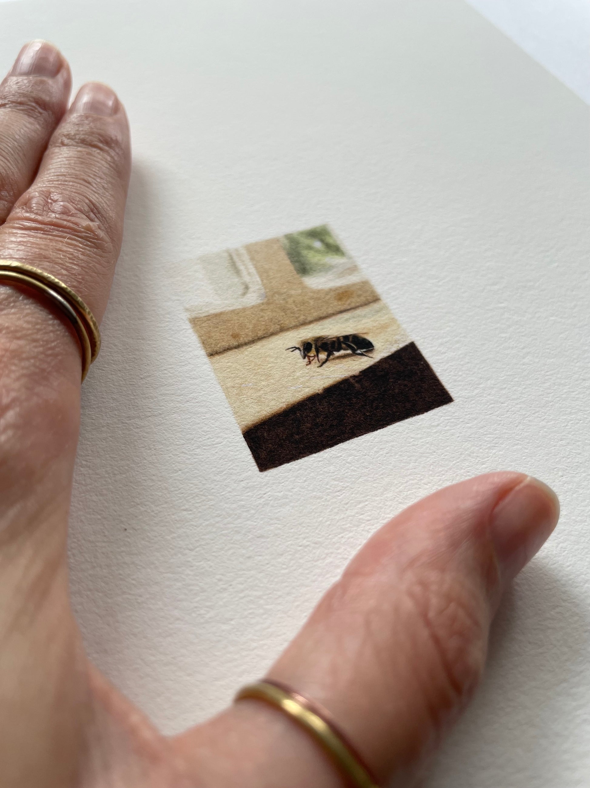 Hand resting on top of light textured papered with a tiny print of a bee resting on the windowsill