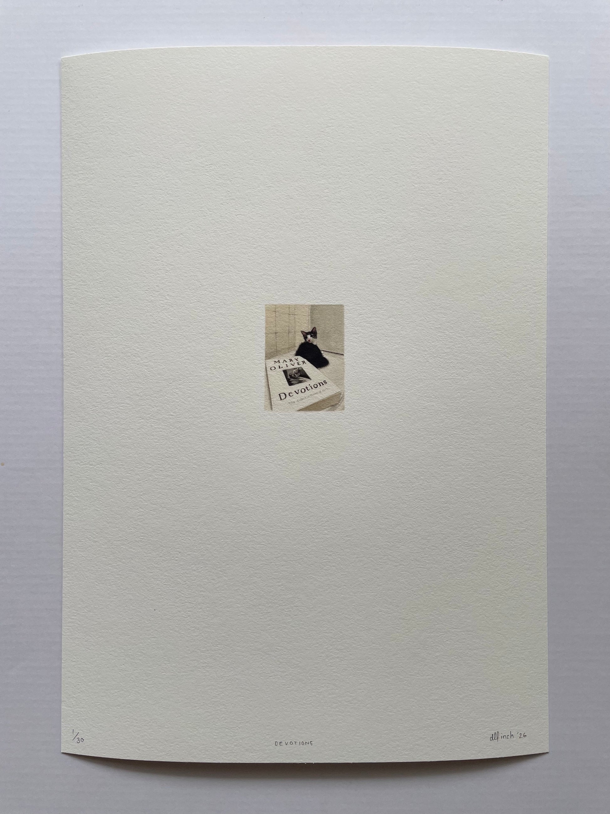 A kitten lying next to a poem book scene printed on Felix Schoeller True Rag Etching 310gsm museum-grade cotton paper.