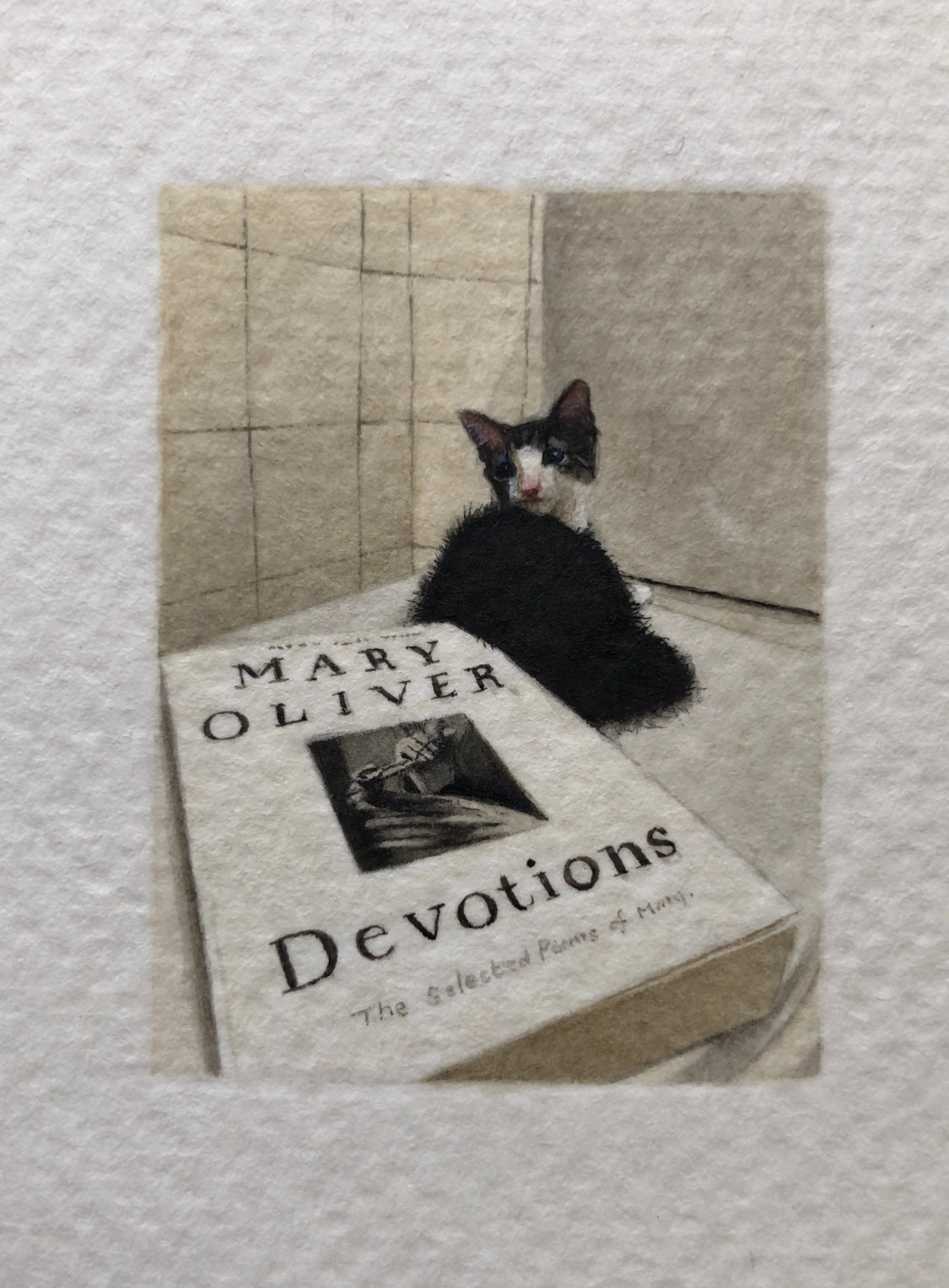 Devotions