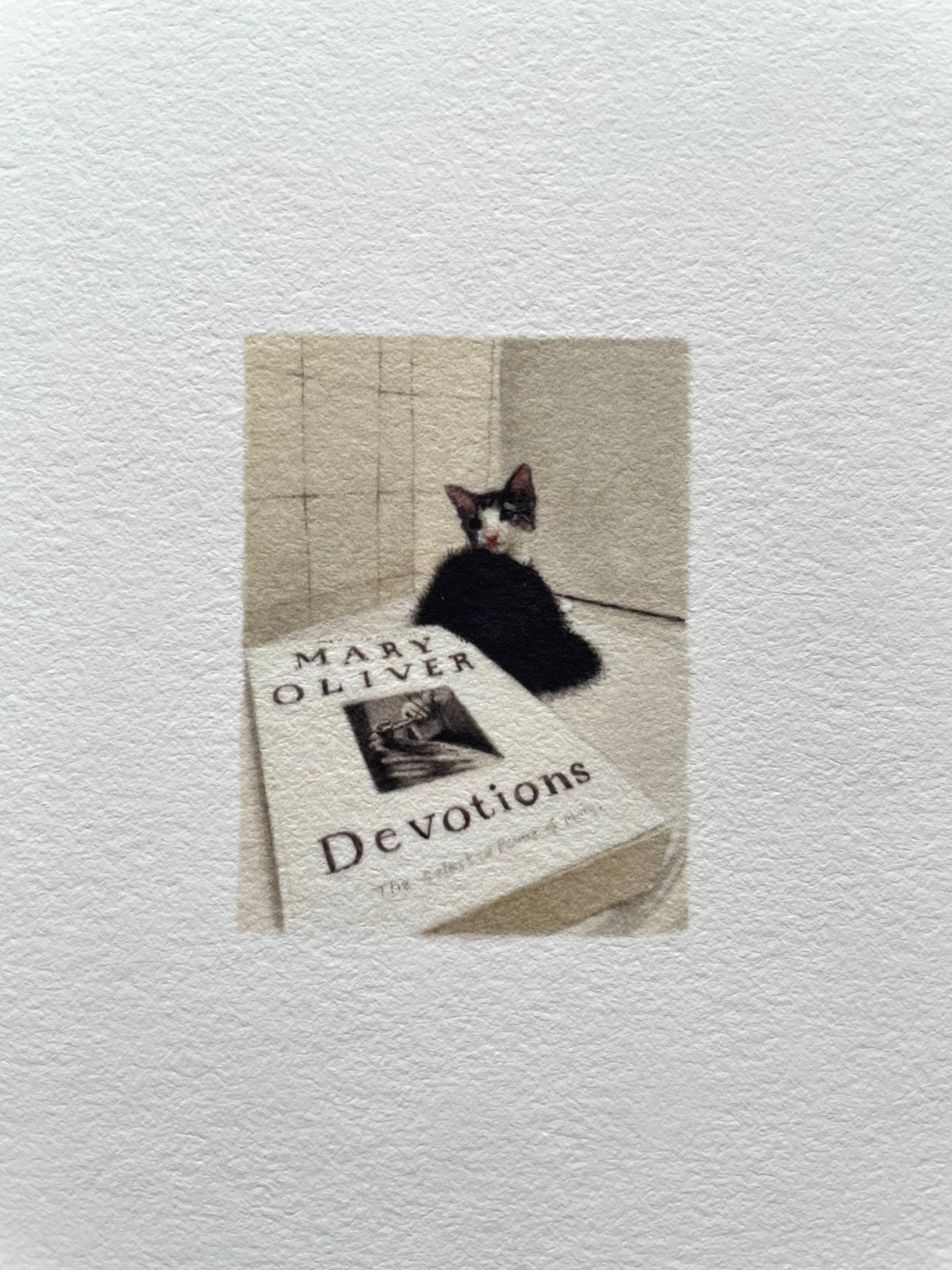 A closeup of a kitten lying next to a poem book scene printed on Felix Schoeller True Rag Etching 310gsm museum-grade cotton paper.