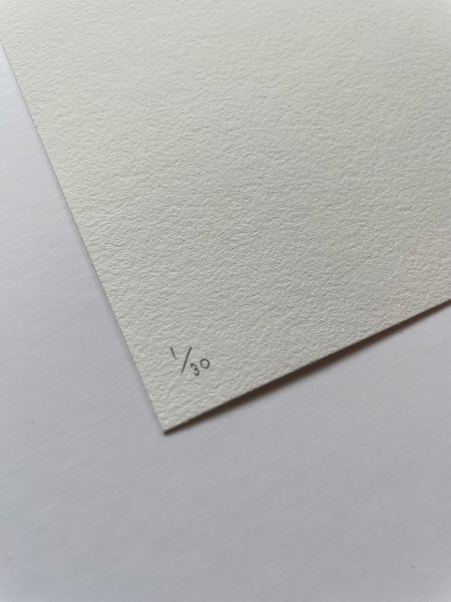 Close-up of light textured paper with '1/30' written on it