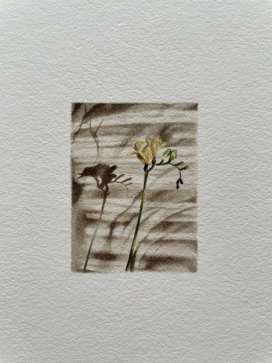 Light textured paper with a tiny print of a flower casting shadows on a light surface