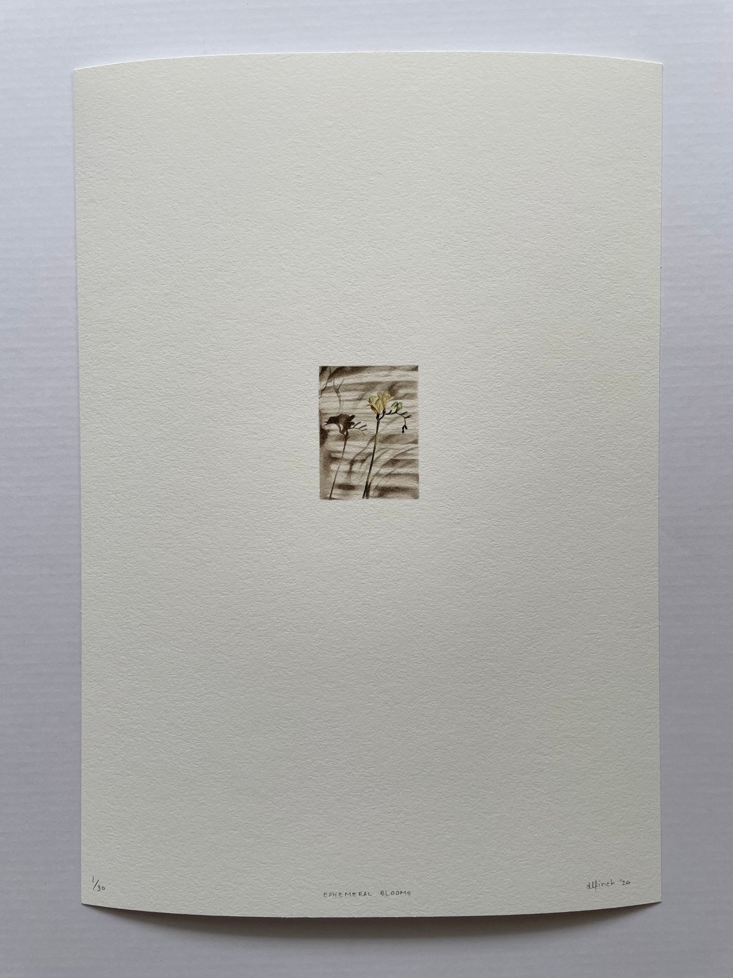 Light textured paper with a tiny print of a flower casting shadows onto the surface of the bed covers