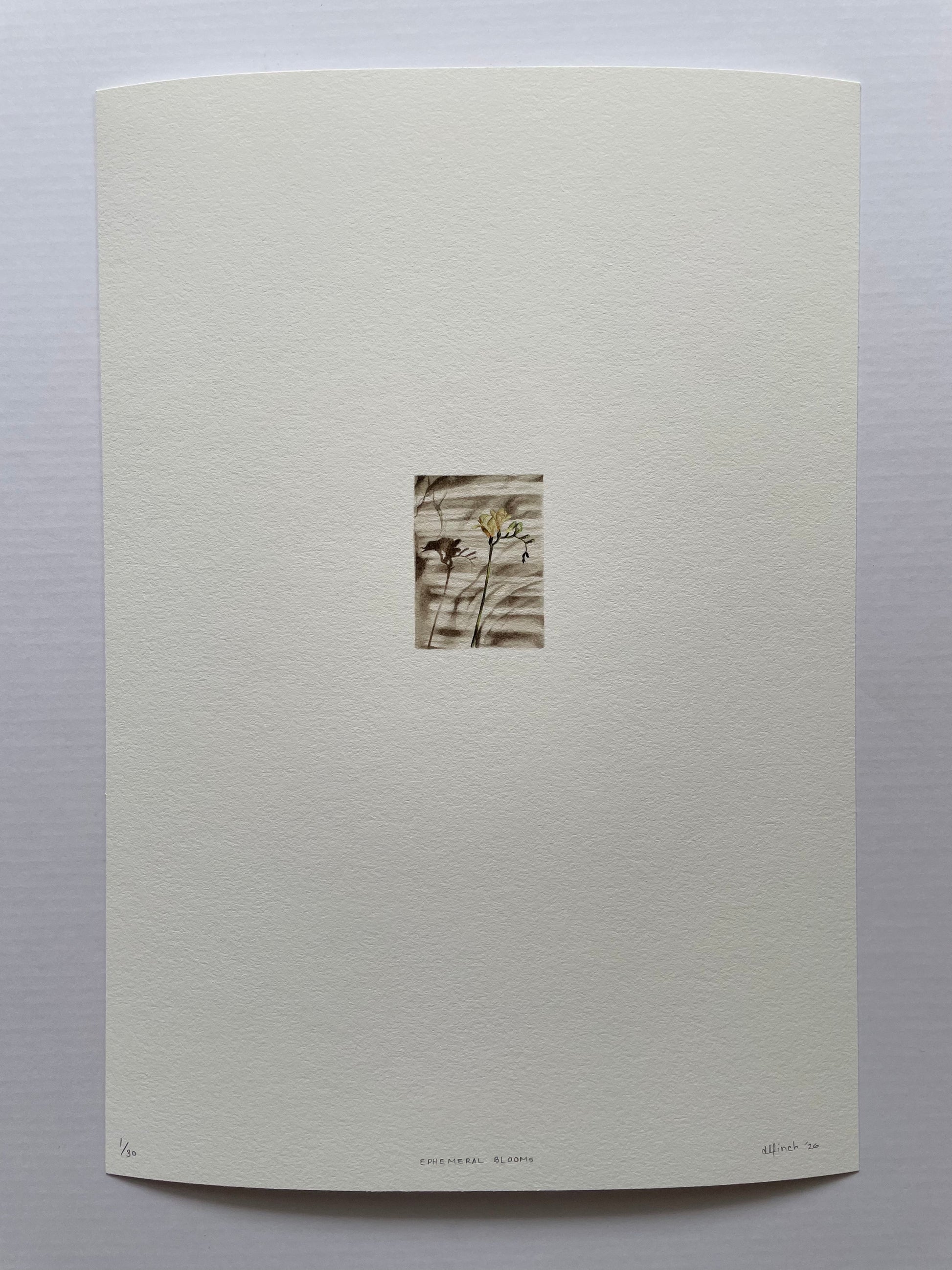 Light textured paper with a tiny print of a flower casting shadows onto the surface of the bed covers