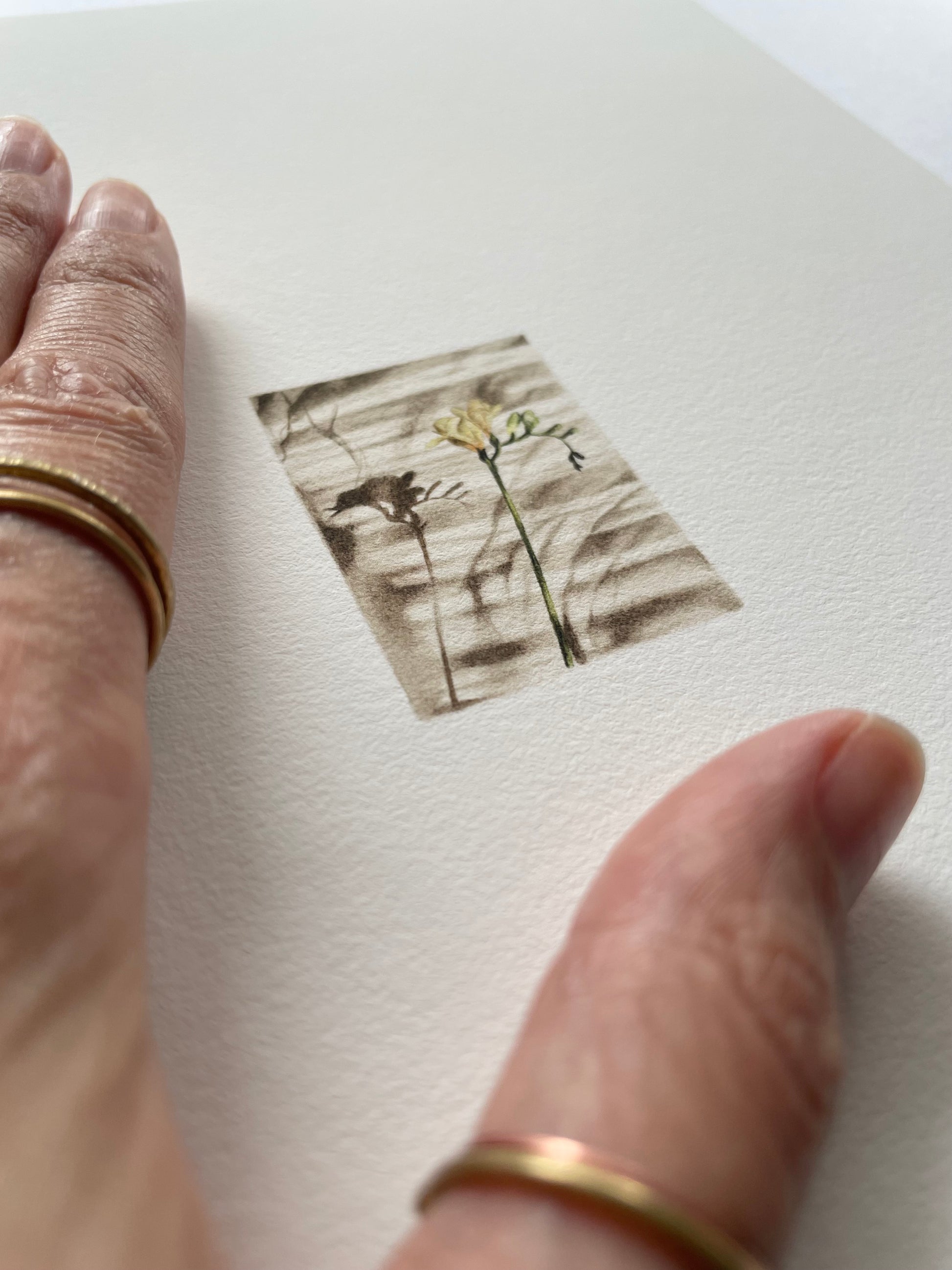 A hand resting on top of light textured paper of a tiny print of a flower casting shadows on the surface of a bed cover