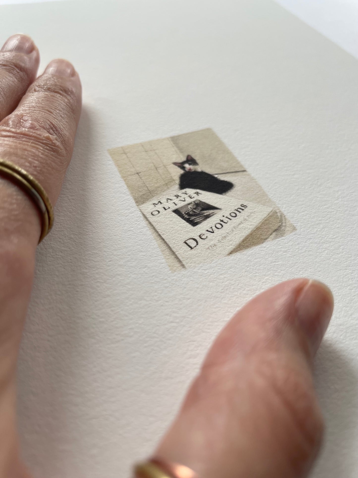 Hand next to a tiny painting with a black cat lying next to a poem book on a white surface
