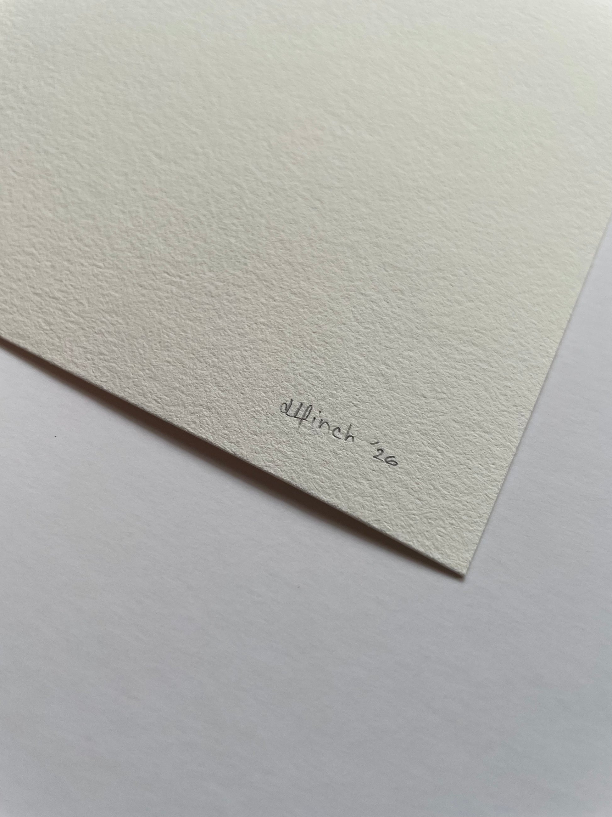 Corner of light textured paper with 'dlfinch '26' written on it