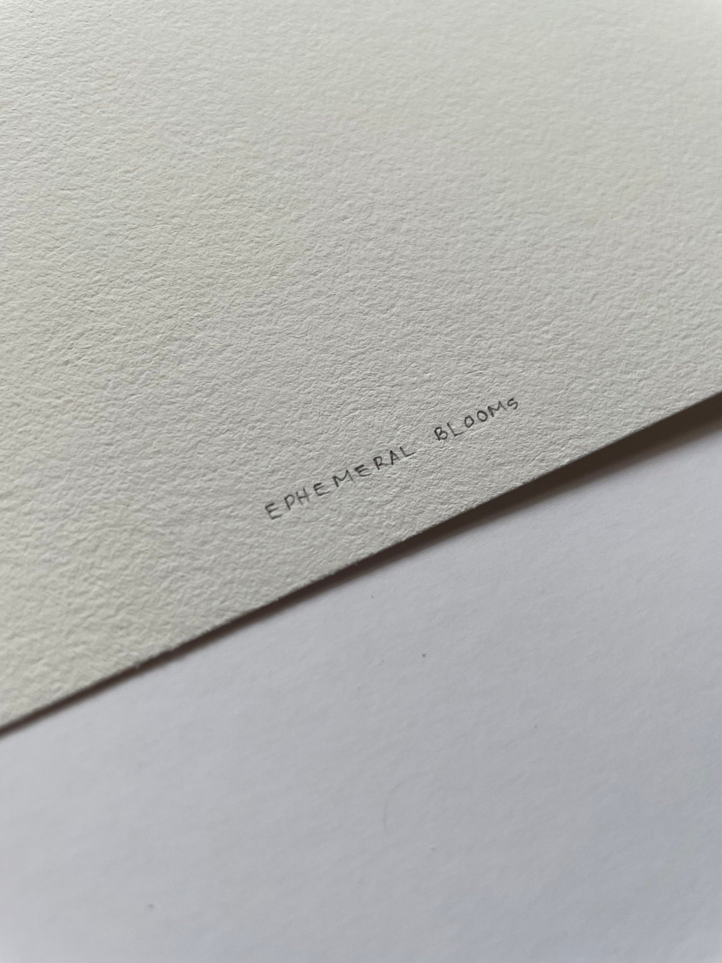 Close-up of light textured paper with 'Ephemeral Blooms' written on it