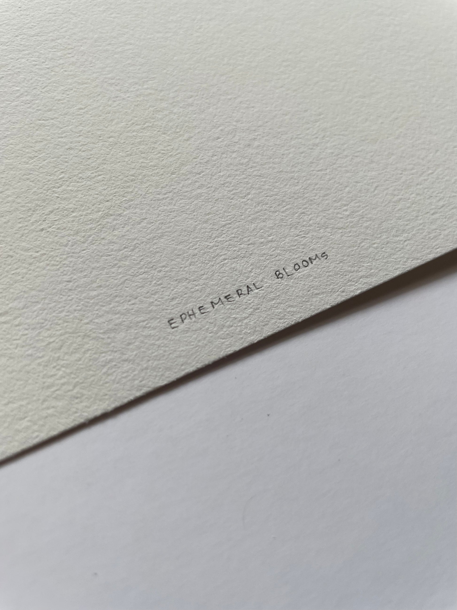 Close-up of light textured paper with 'Ephemeral Blooms' written on it