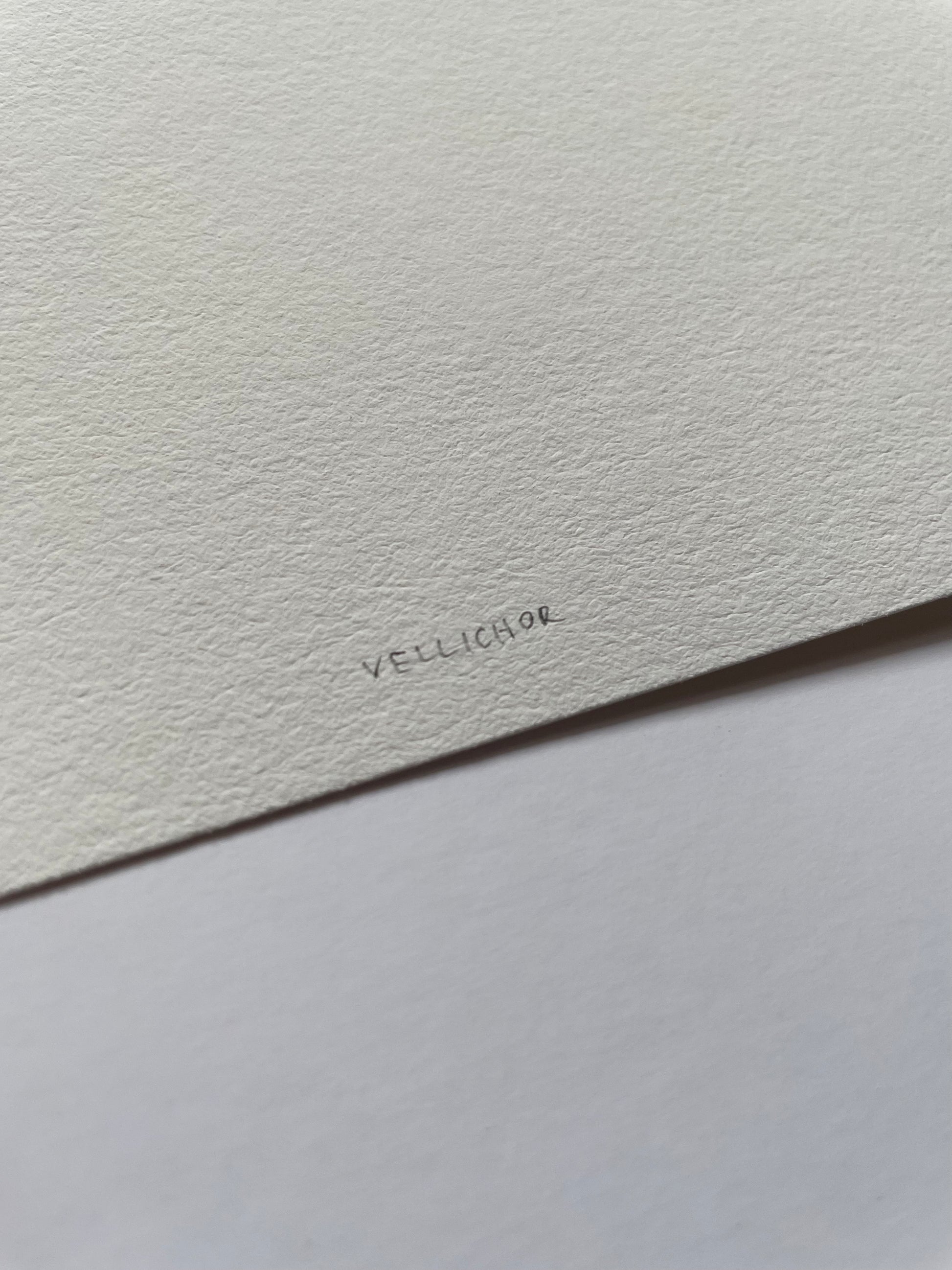Close-up of light textured paper with 'Vellichor' written on it