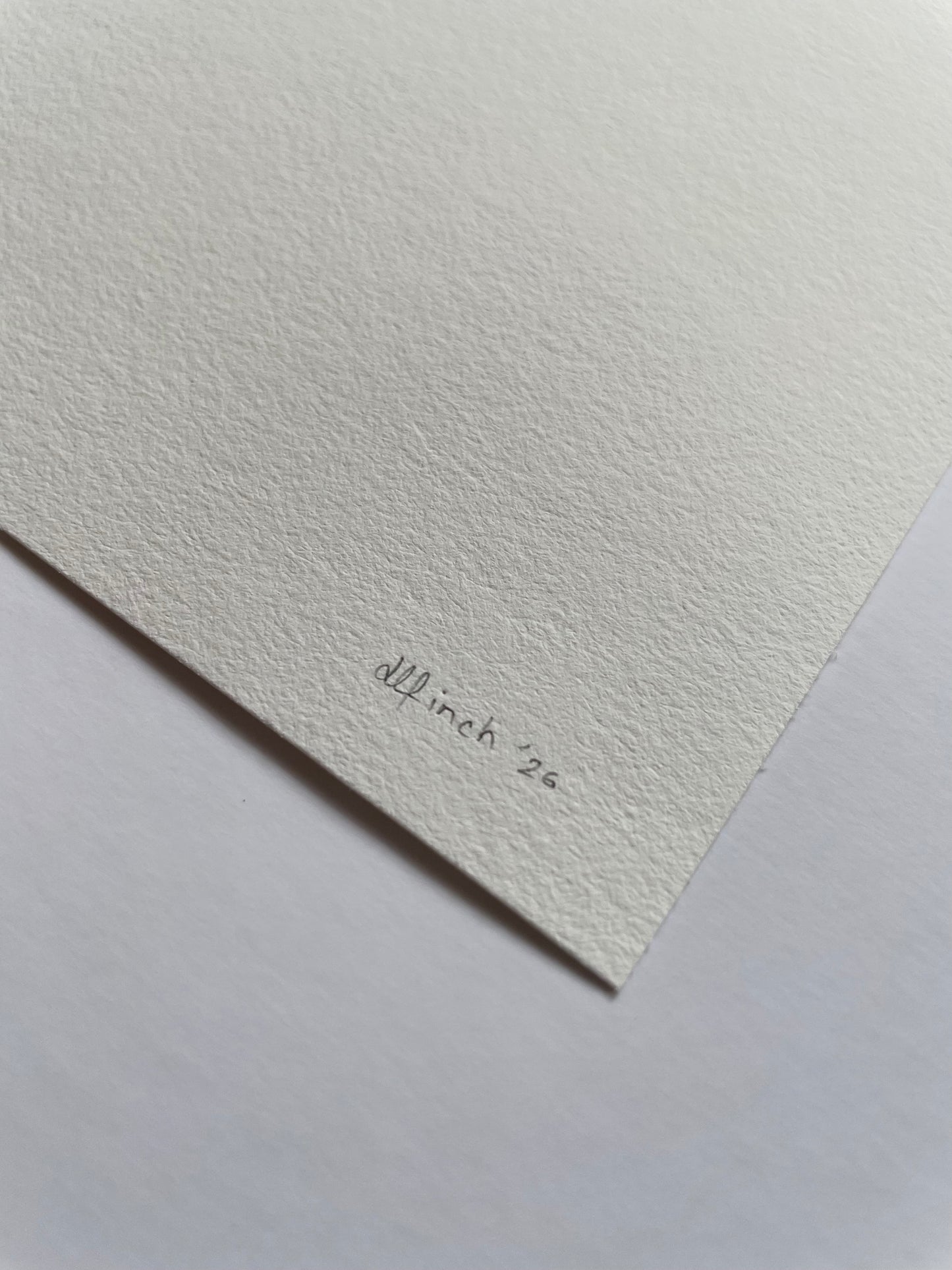 Light textured paper with 'dlfinch '26' written on it