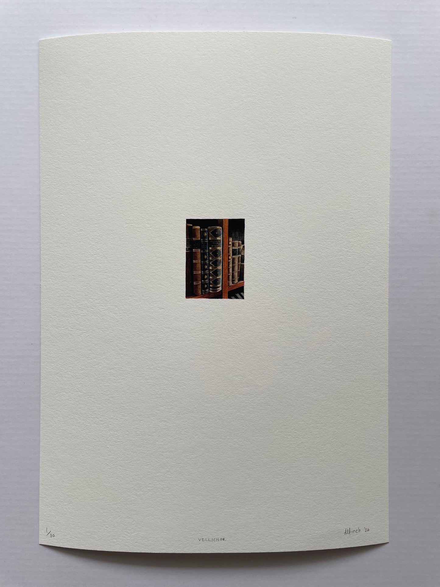 A tiny print on light textured paper of antique books on a bookshelf