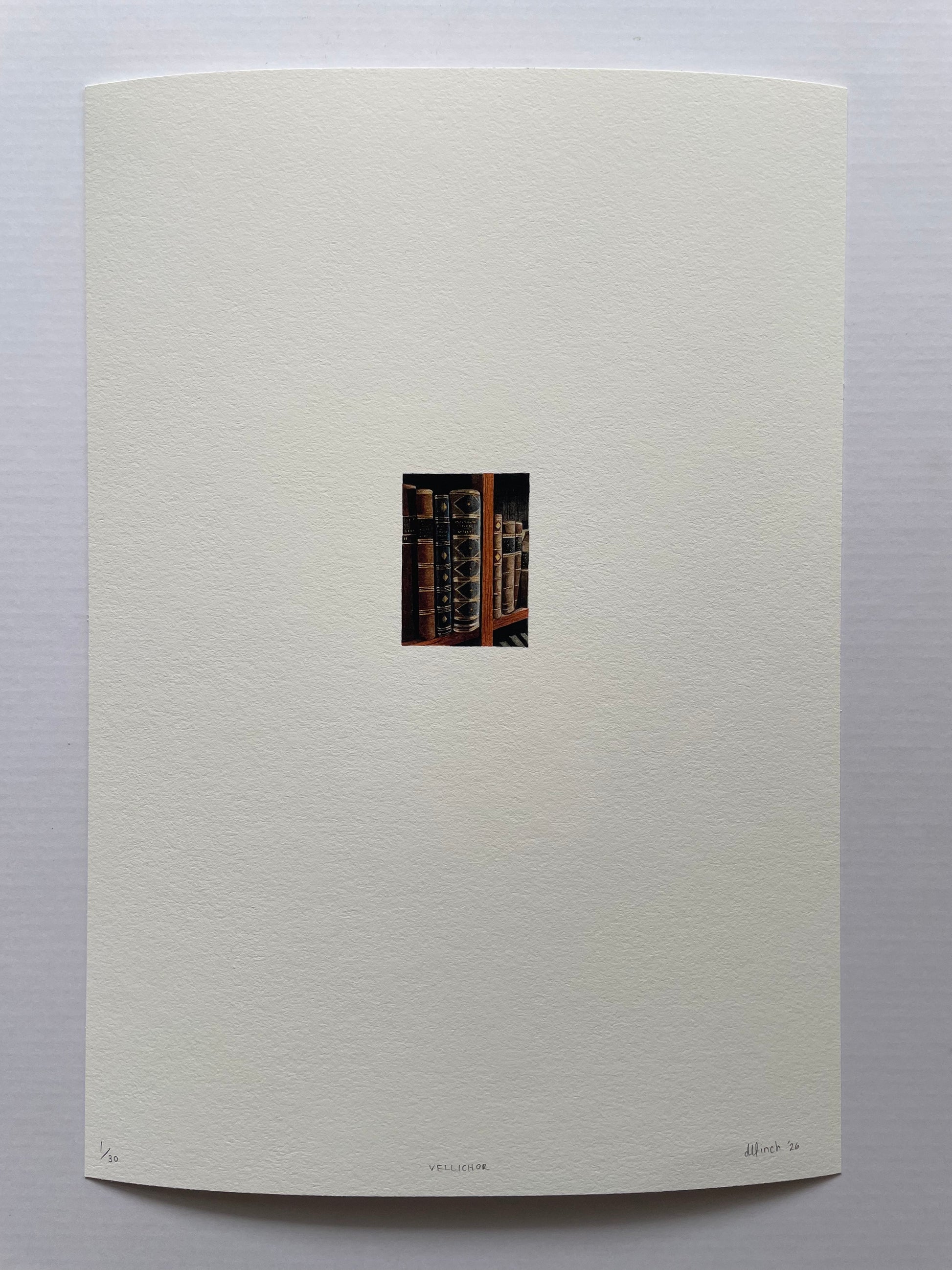 A tiny print on light textured paper of antique books on a bookshelf