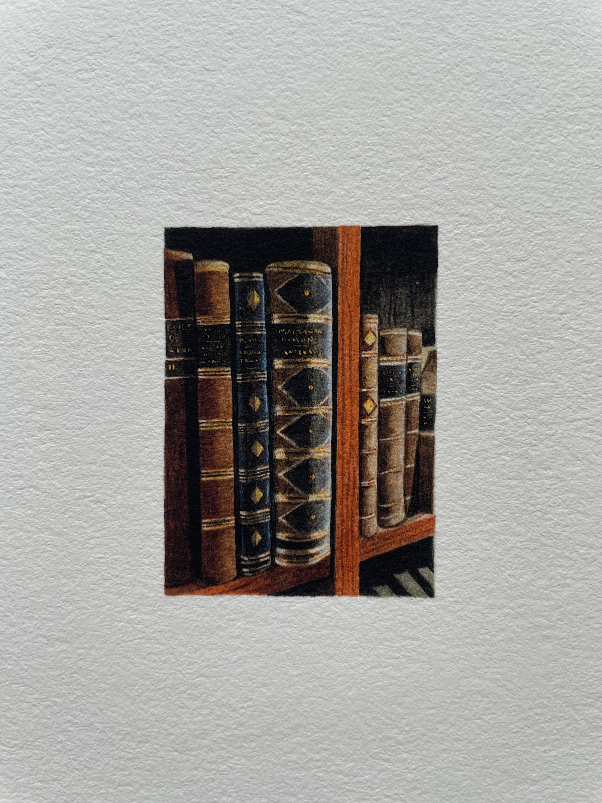 A tiny print of antique books in a bookshelf